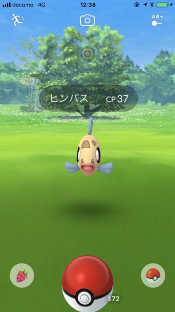 ポケモンGO（ポケモンゴー・ポケモンgo） pokemon go ポケモンgo新ポケモン ポケモンgo第三世代 ポケモンgoルビーサファイア ポケモンgoルビサファ ポケモンGOアップデート情報 【ポケモンGO】ヒンバス集めはお台場! 8時間探してまさかの結果に!