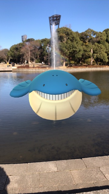 ポケモンGO(ポケモンゴー・ポケモンgo) pokemon go ポケモンgo新ポケモン ポケモンgo第三世代 ポケモンgoルビーサファイア ポケモンgoルビサファ ポケモンGOアップデート情報 【ポケモンGO】何時間でホエルオーは完成する? ホエルコの巣に行ってアメを集めてきた