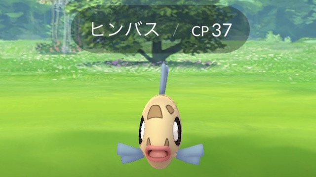 【ポケモンGO】ヒンバス集めはお台場! 8時間探してまさかの結果に!