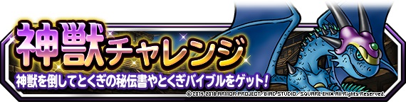 DQ010511
