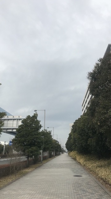 pokemongo0117 - 10