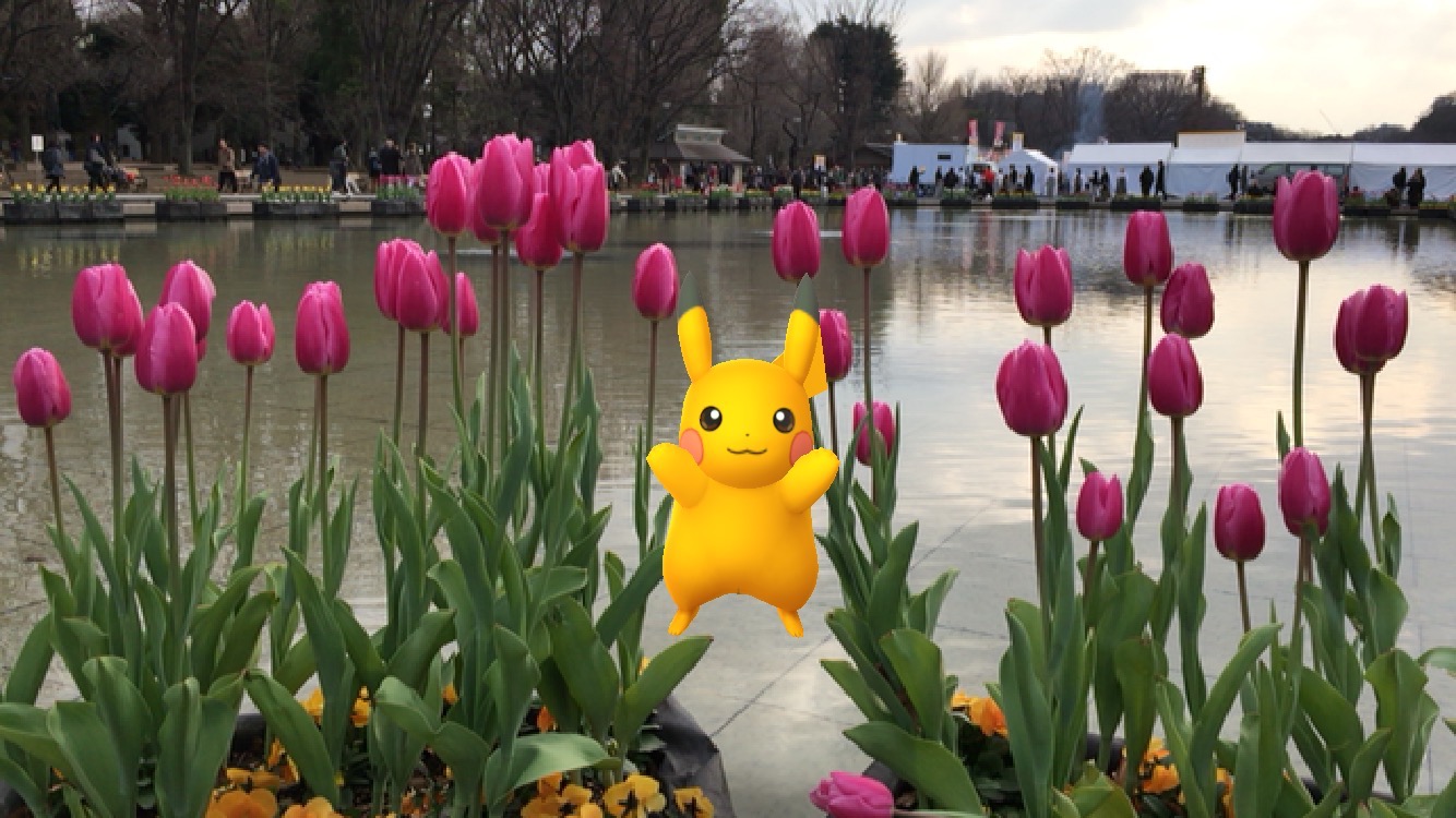 pokemongo0120 - 32