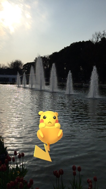 pokemongo0120 - 37