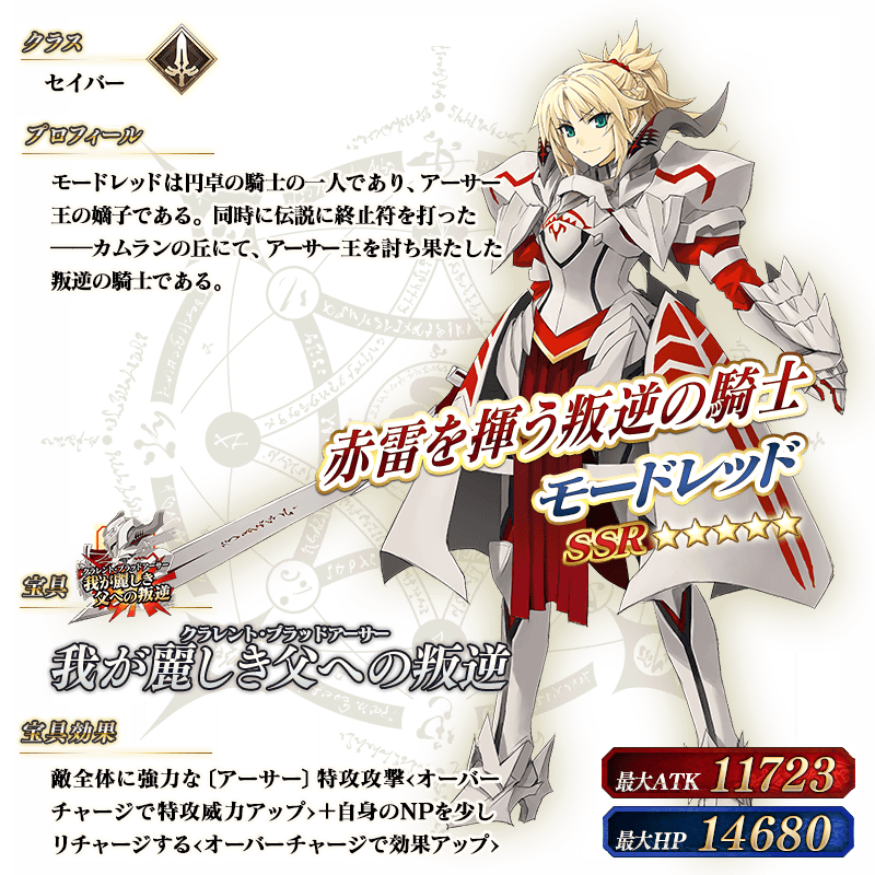 servant_details_l_04