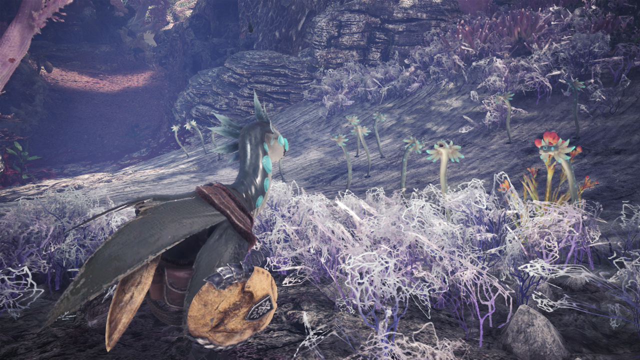 MHW02162