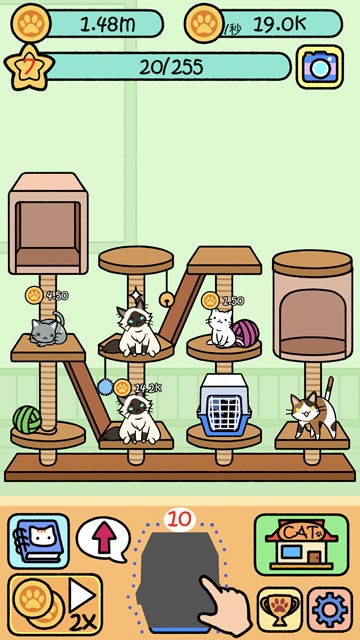 catcondo02