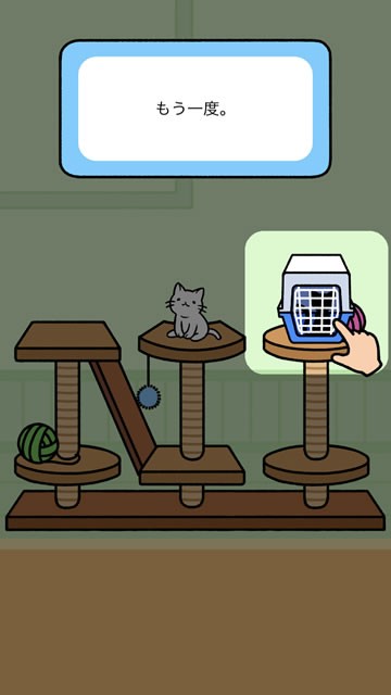 catcondo04