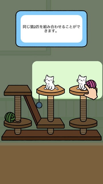 catcondo05