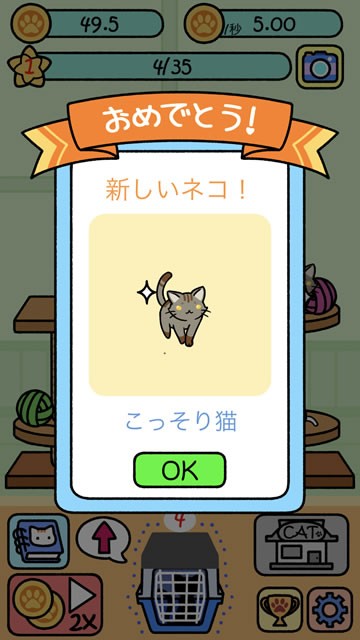 catcondo10