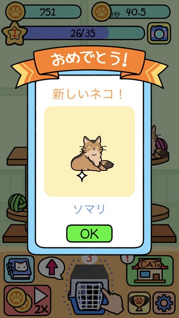 catcondo11