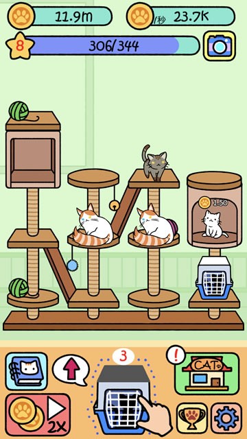 catcondo17