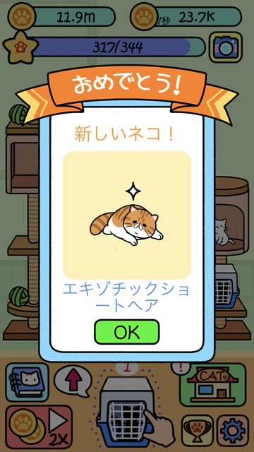 catcondo18