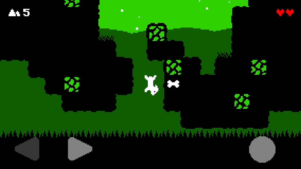 digdog24