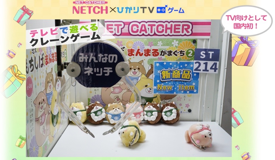 netch - 2