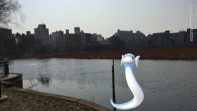 pokemongo0225 - 19