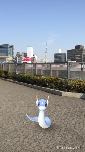 pokemongo0225 - 22
