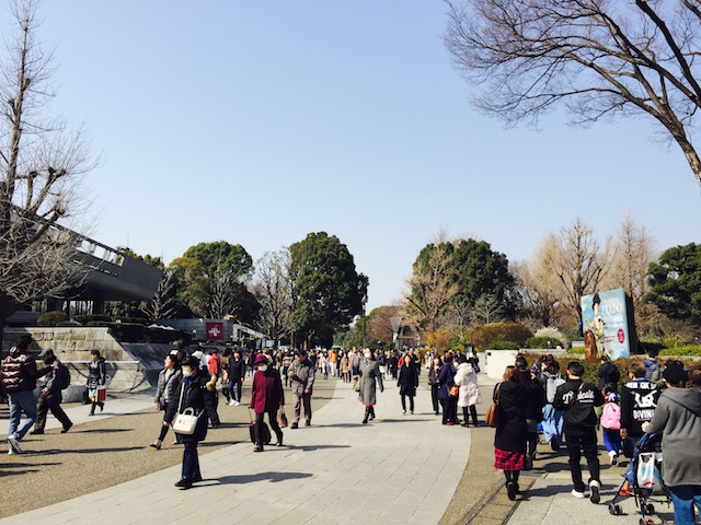 pokemongo0225 - 3