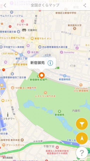 sakura_0311 - 4