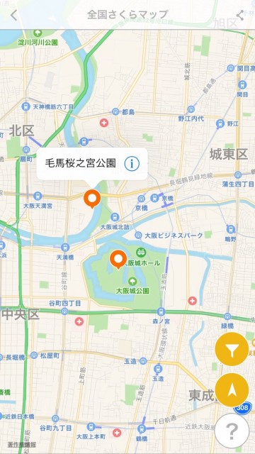 sakura_0311 - 6