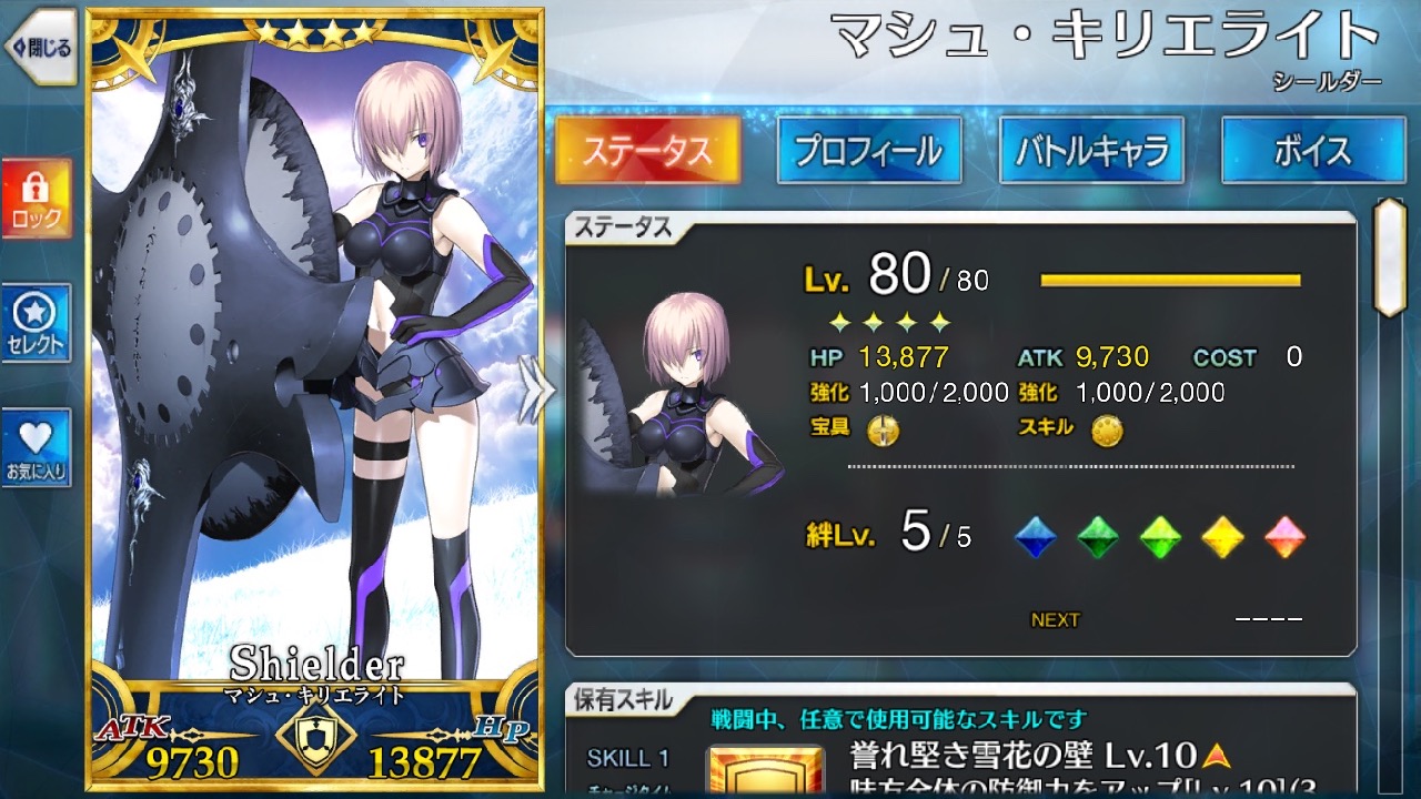 11_fgo_ms - 2