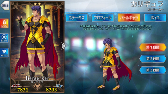 2018-0404_fgo_servent_new - 2 (1)