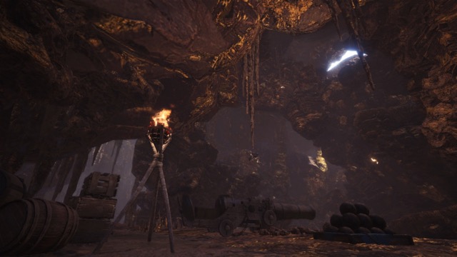 mhw - 17