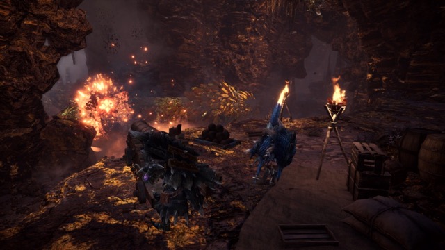 mhw - 3