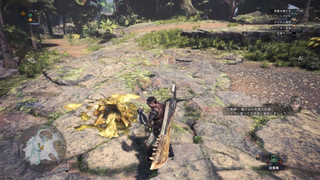 mhw - 9