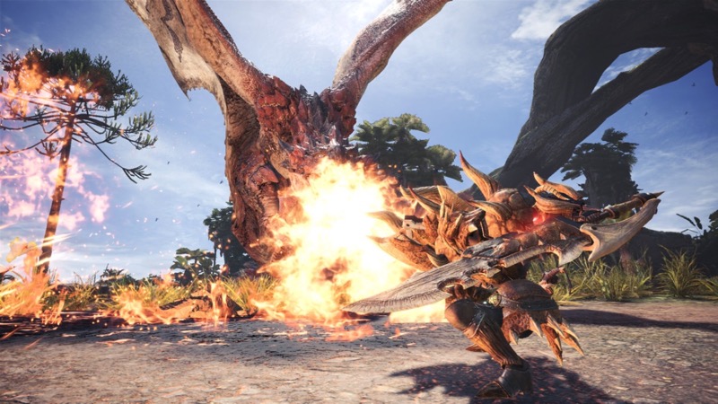 mhw_0428 - 10
