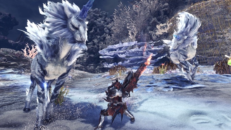 mhw_0428 - 23