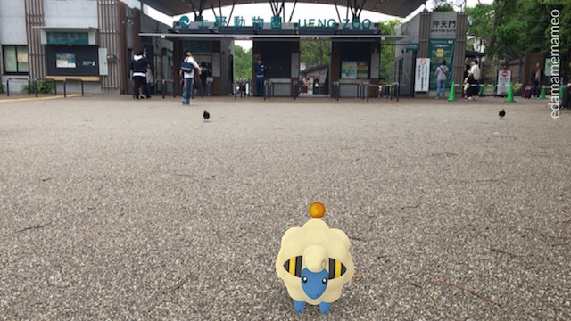 pokemongo0416 - 22