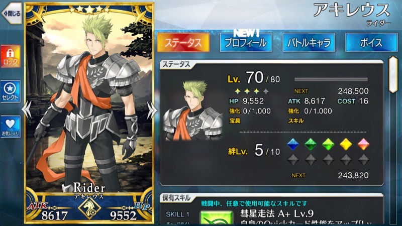 01_fgo_achilles4 - 2