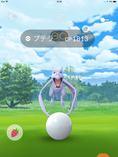 2018-0529_pokemongo - 5