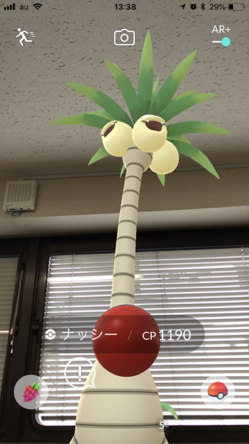 2018-0530_pokemongo_nasshi - 2 (1)