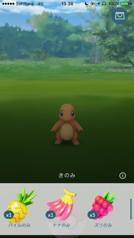 pokemon0521 - 17