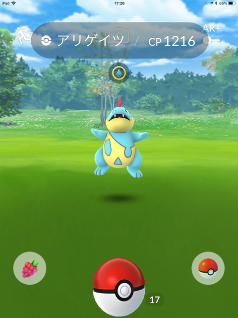 2018-0610_pokemongo - 4