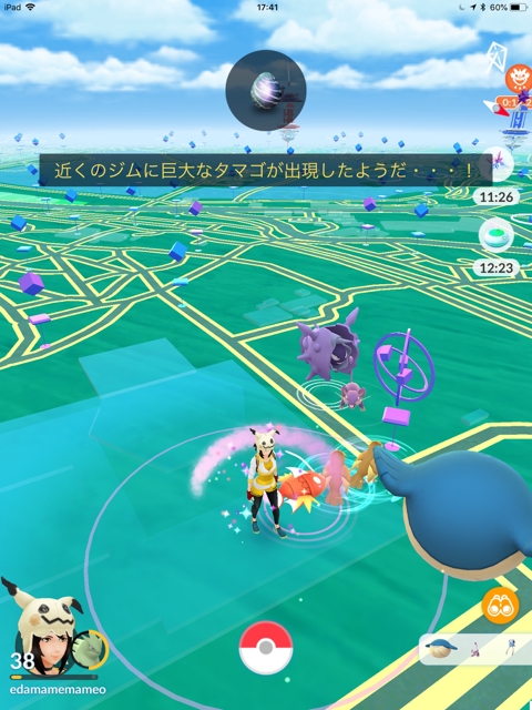 2018-0610_pokemongo - 6