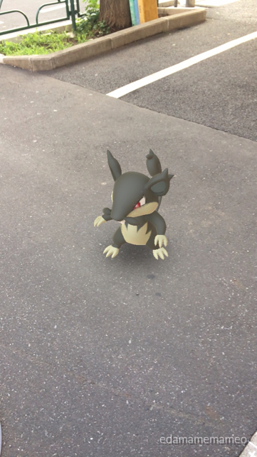 2018-0627_pokemongo_gifting - 7