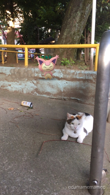 2018-0701_pokemongo - 10