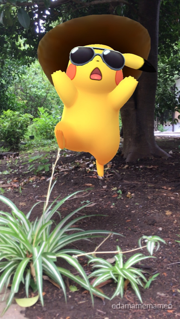 2018-0707_pokemongo - 10