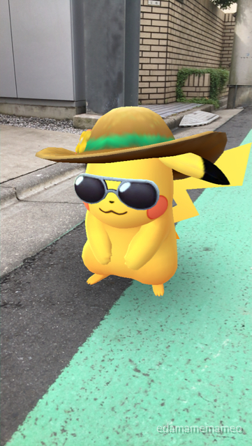 2018-0707_pokemongo - 5
