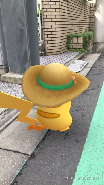 2018-0707_pokemongo - 6