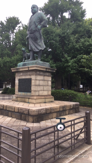2018-0727_pokemongo - 14
