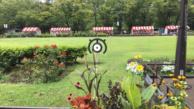 2018-0728_pokemongo - 16