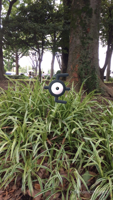 2018-0729_pokemongo - 13