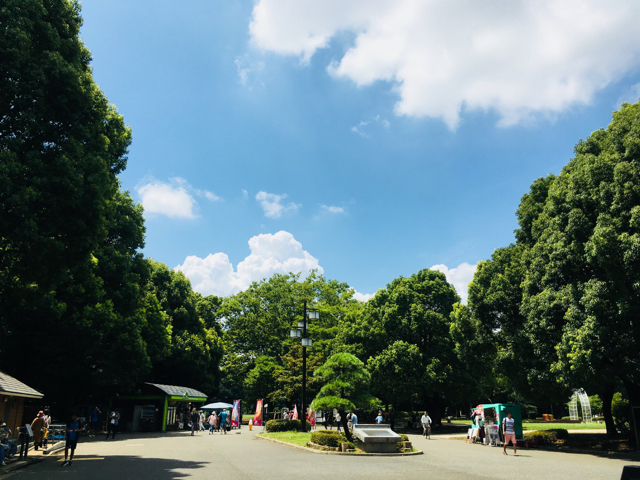 2018-0729_pokemongo - 14