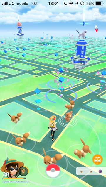 ポケモンgo イーブイ大量ゲット 色違いの出現率は 8月コミュニティデイレポート Appbank