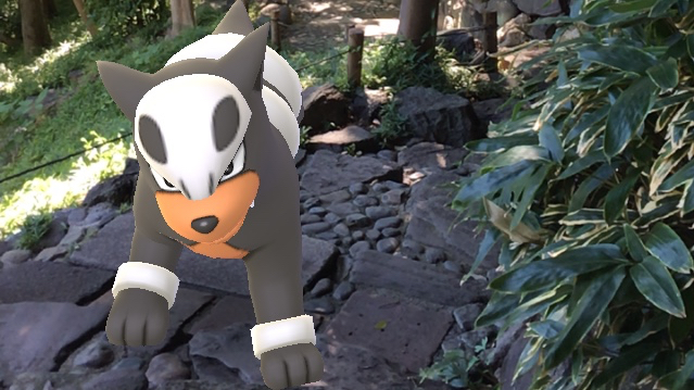 ポケモンgo 色違いデルビルの出現率は デルビルの巣まで行って検証してみた Appbank ポケモンgo 色違いデルビルの出現率は デルビルの巣まで行って検証してみた Appbank
