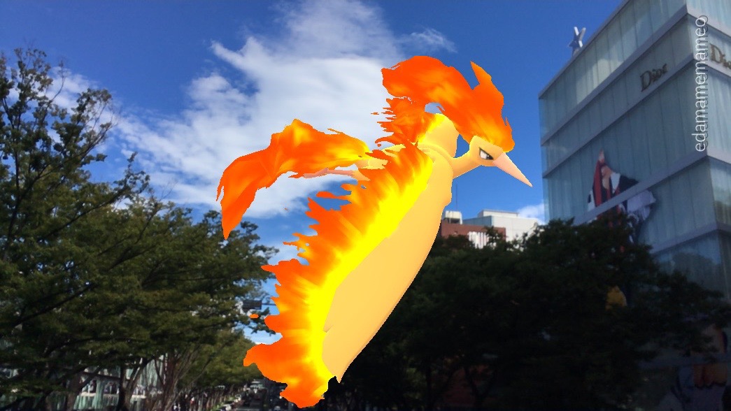 ポケモンgo Cp最強ファイヤーに遭遇 3時間のゲット数や色違いの確率も検証 ファイヤーデイレポート Appbank