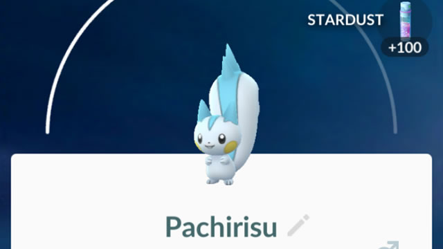 ポケモンgo パチリスは寒い場所限定 シンオウ地方の地域限定ポケモンがいると話題 Appbank
